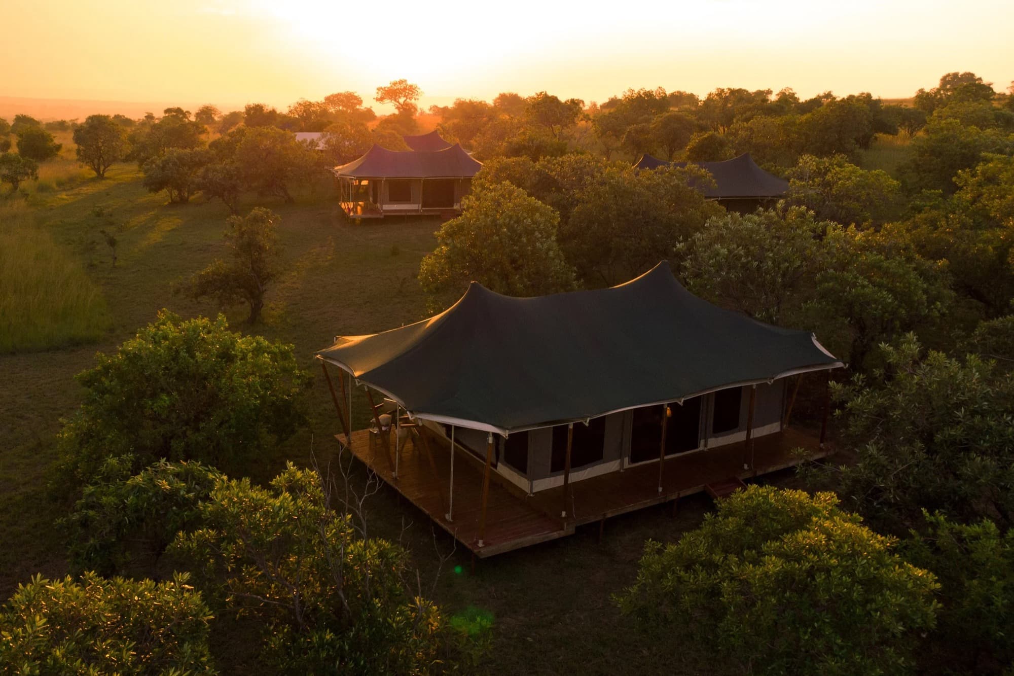 Moyo Camp Central, Serengeti
