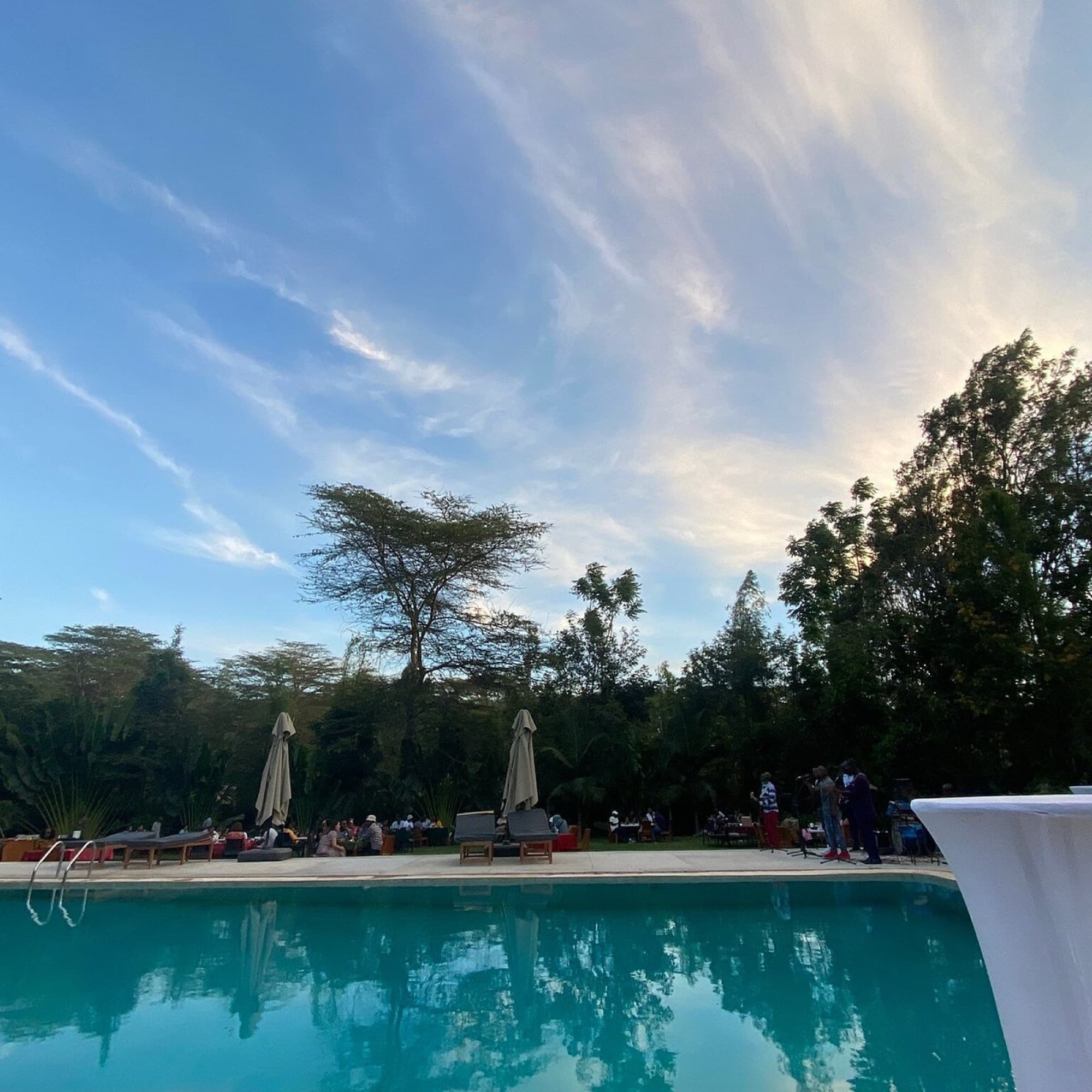 Under the Shade, Arusha