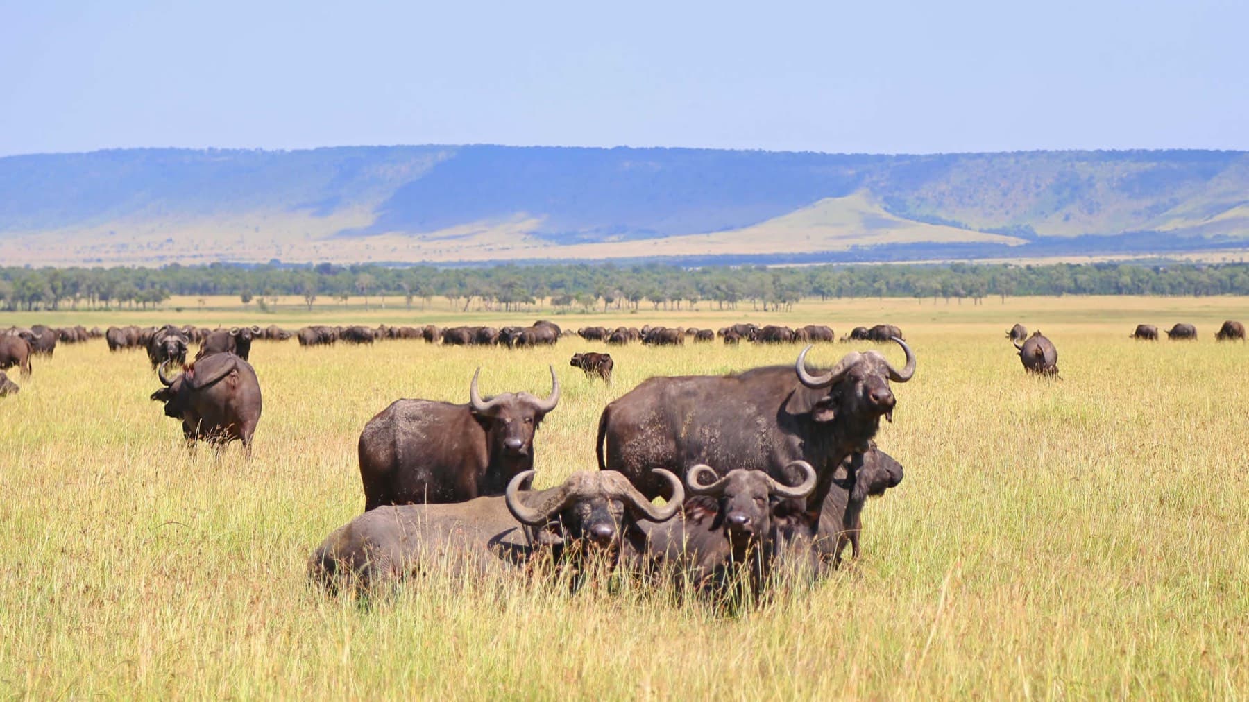 Ngorongoro Crater floor