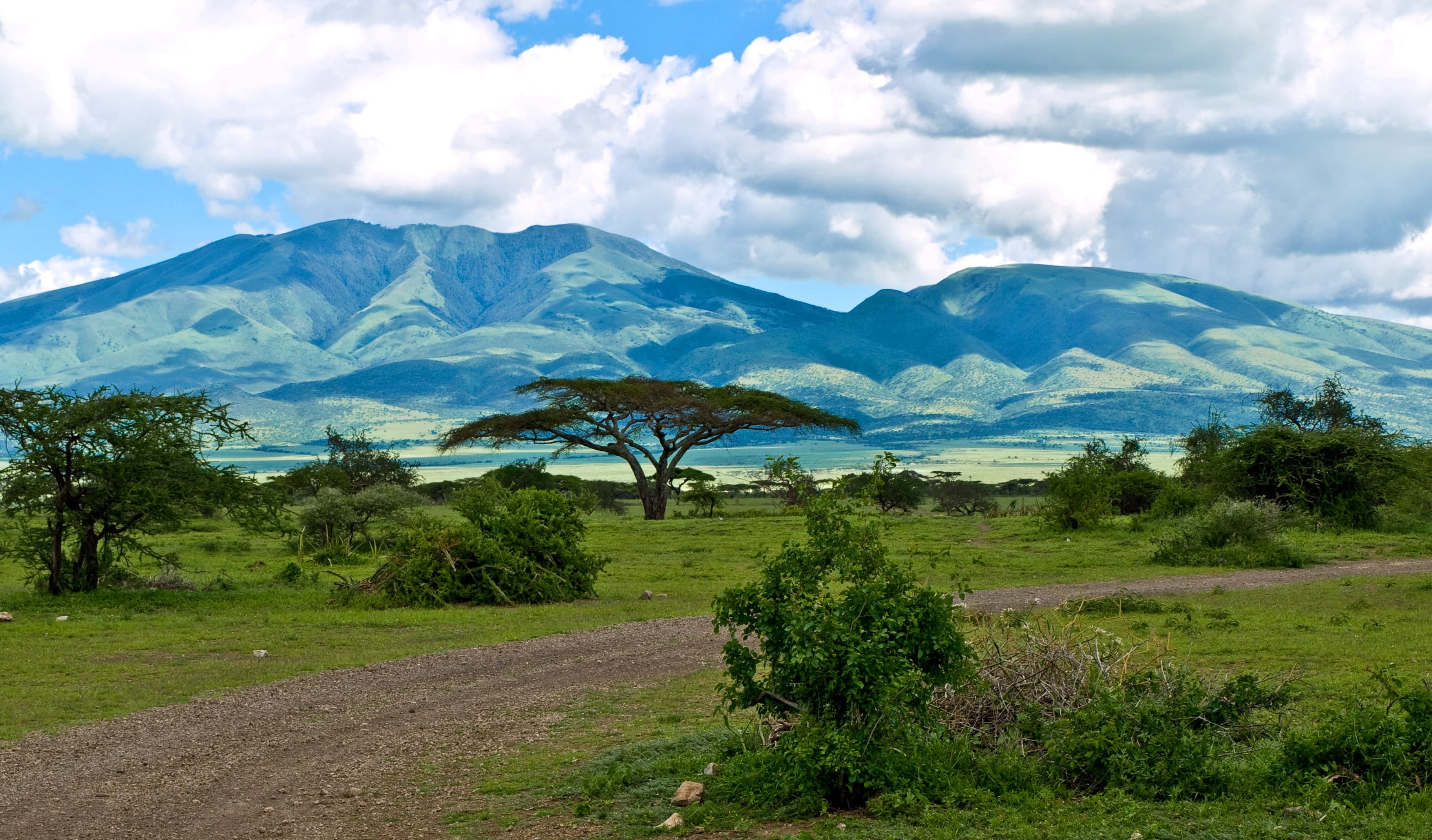Serengeti hills and open grassland