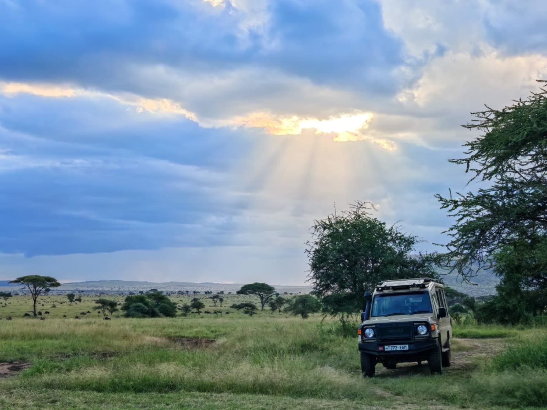 Safari vehicle in open country